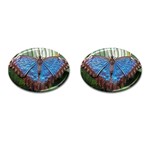 butterfly Cufflinks (Oval)