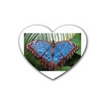 butterfly Rubber Coaster (Heart)