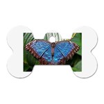 butterfly Dog Tag Bone (One Side)