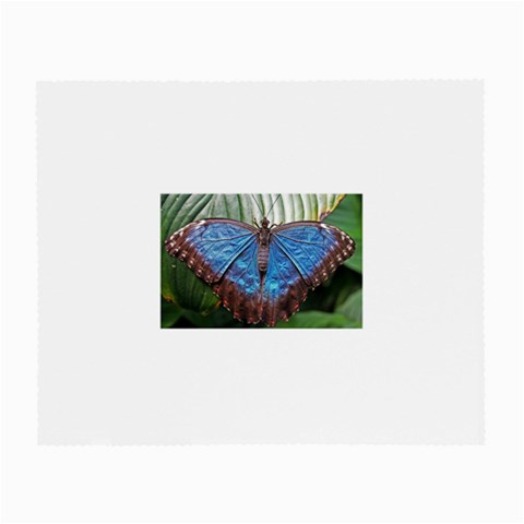 butterfly Glasses Cloth (Small, Two Sides) from ArtsNow.com Front
