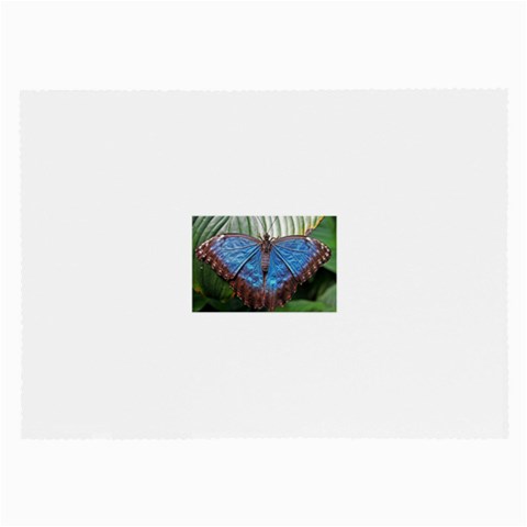 butterfly Glasses Cloth (Large, Two Sides) from ArtsNow.com Front