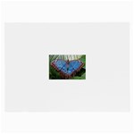 butterfly Glasses Cloth (Large, Two Sides)