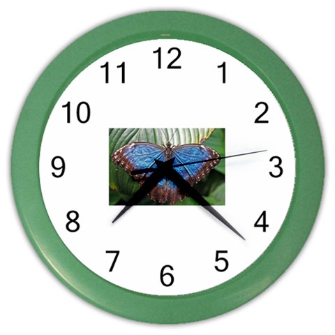 butterfly Color Wall Clock from ArtsNow.com Front