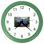 butterfly Color Wall Clock