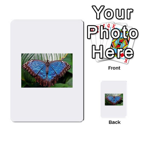 butterfly Multi Front 1