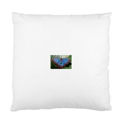 butterfly Cushion Case (Two Sides) from ArtsNow.com Front