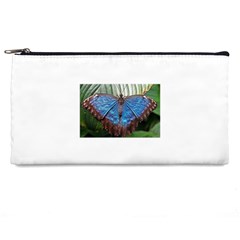 butterfly Pencil Case from ArtsNow.com Front