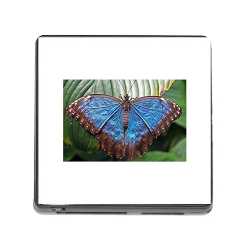 butterfly Memory Card Reader (Square) from ArtsNow.com Front
