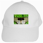 butterfly White Cap
