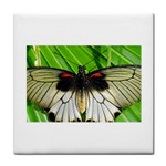 butterfly Tile Coaster