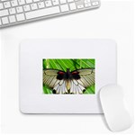 butterfly Small Mousepad