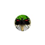 butterfly 1  Mini Magnet