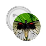 butterfly 2.25  Button