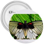 butterfly 3  Button