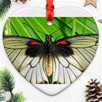 butterfly Ornament (Heart)