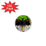 butterfly 1  Mini Magnet (100 pack) 