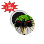 butterfly 1.75  Magnet (10 pack) 