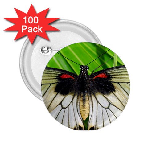 butterfly 2.25  Button (100 pack) from ArtsNow.com Front