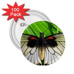 butterfly 2.25  Button (100 pack)
