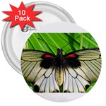 butterfly 3  Button (10 pack)