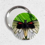 butterfly 2.25  Handbag Mirror