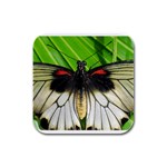 butterfly Rubber Square Coaster (4 pack)