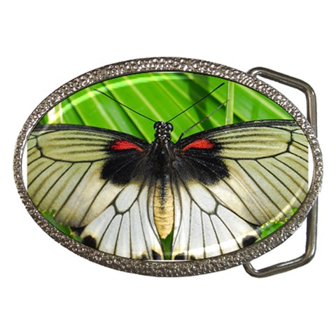butterfly Belt Buckle from ArtsNow.com Front