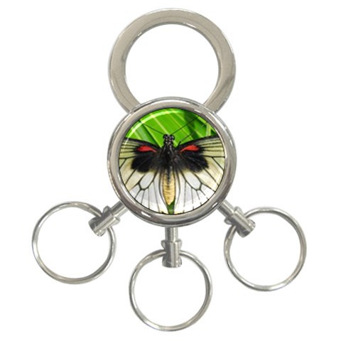 butterfly 3 Front