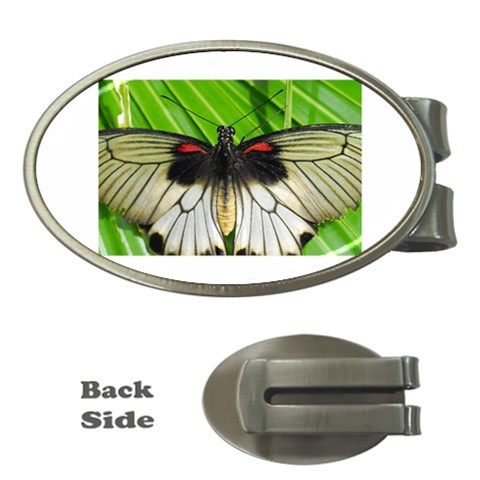 butterfly Money Clip (Oval) from ArtsNow.com Front