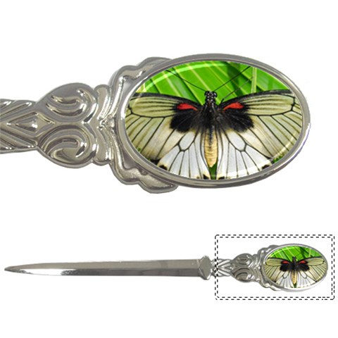 butterfly Letter Opener from ArtsNow.com Front