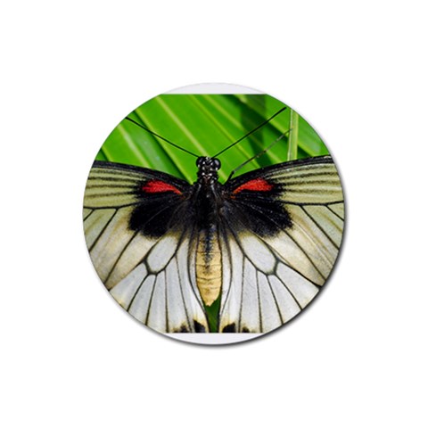 butterfly Rubber Coaster (Round) from ArtsNow.com Front