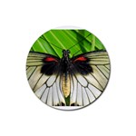 butterfly Rubber Coaster (Round)