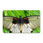butterfly Magnet (Rectangular)