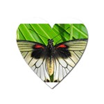butterfly Magnet (Heart)