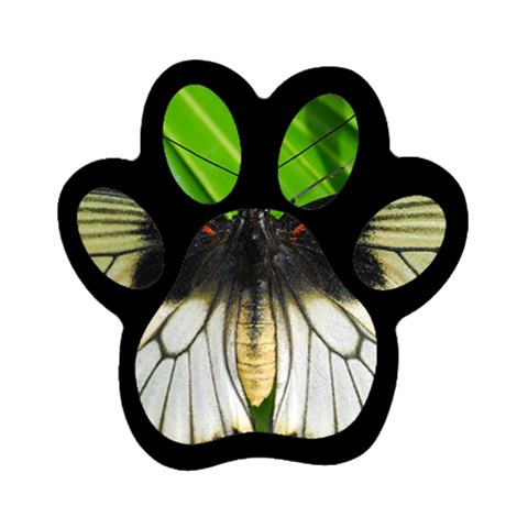 butterfly Magnet (Paw Print) from ArtsNow.com Front