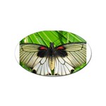 butterfly Sticker Oval (100 pack)