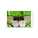butterfly Sticker Rectangular (100 pack)