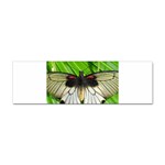 butterfly Sticker Bumper (10 pack)