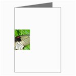 butterfly Greeting Card