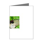 butterfly Mini Greeting Card