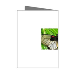 butterfly Mini Greeting Card from ArtsNow.com Right