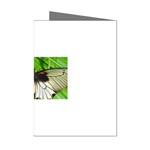butterfly Mini Greeting Cards (Pkg of 8)