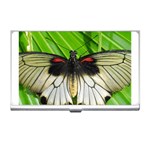 butterfly Business Card Holder