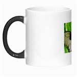 butterfly Morph Mug