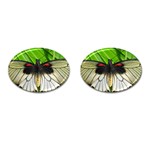 butterfly Cufflinks (Oval)
