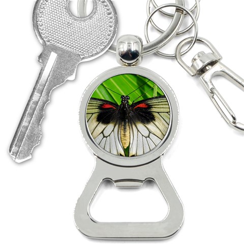 butterfly Bottle Opener Key Chain from ArtsNow.com Front