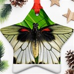 butterfly Star Ornament (Two Sides)
