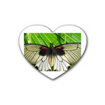 butterfly Rubber Coaster (Heart)