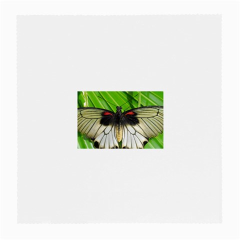 butterfly Glasses Cloth (Medium) from ArtsNow.com Front