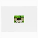 butterfly Glasses Cloth (Large)